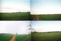 The fields between Dover Avenue in Banbury, Wythicombe Farm and Drayton in 2010. There was a plan to build a housing estate on them between 2006 and 2010, but it has now been dropped.