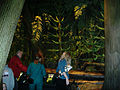 Lifesize display of a forest from the Carboniferous Period