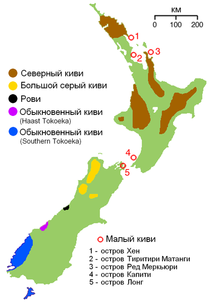 Файл:NZ-kiwimap ru.PNG