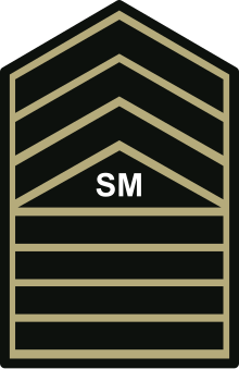 PHIL ARMY SMSG WOODLAND.svg