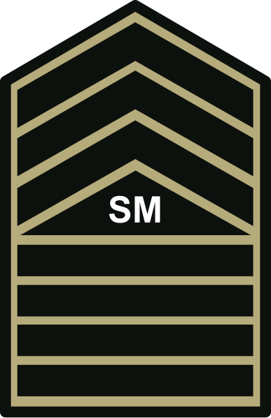 File:PHIL ARMY SMSG WOODLAND.svg