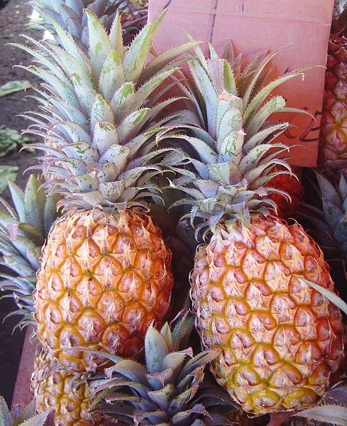 File:Pineapple victoria dsc07770.jpg