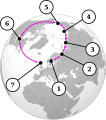 The Larus gulls interbreed in a ring around the arctic. 1: L. fuscus, 2: Siberian population of L. fuscus, 3: L. heuglini, 4: L. vegae birulai, 5: L. vegae, 6: L. smithsonianus, 7: L. argentatus