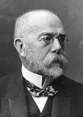 Robert Koch (1843–1910)