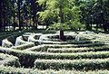 Public hedge maze in "English Garden" at Schönbusch Park, Aschaffenburg, Germany.