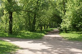 Севастопольский парк летним днём