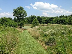 Young Conservation Area, Missouri