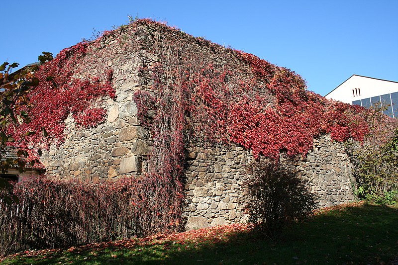 File:A4221-Stadtmauer-Steyregg 10-2013 004.JPG