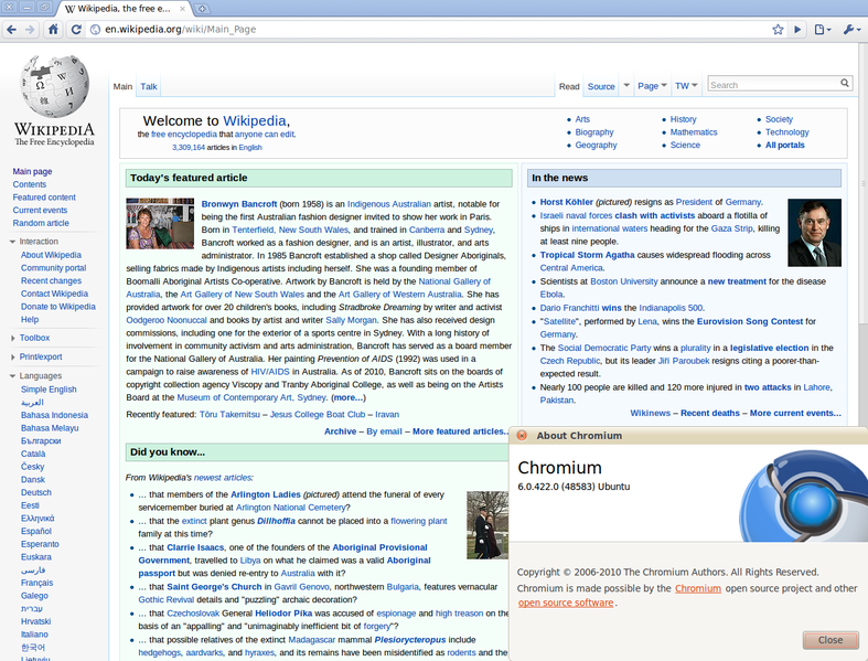 File:Chromium 6.0.422.png