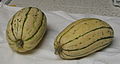 Delicata squash, also known as Sweet Potato squash