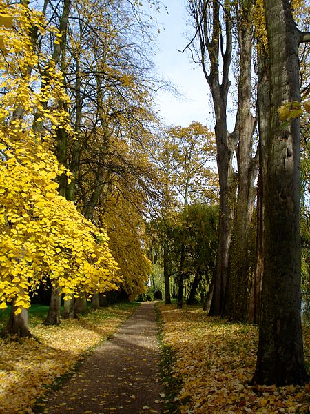 File:Fellows' Garden Path autumn.jpg