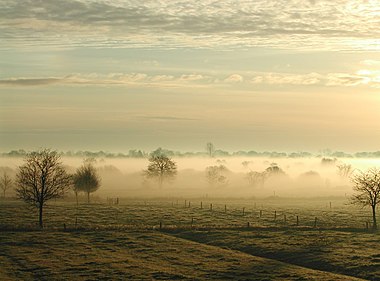 East Frisia fog