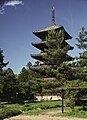 Ninna-ji (仁和寺)