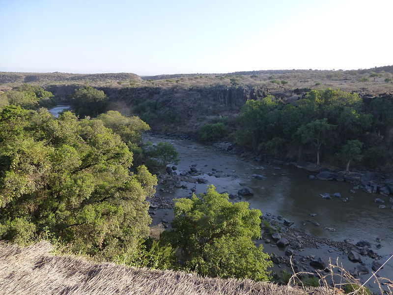 File:Parc national d'Awash-Ethiopie-Rivière (1).JPG