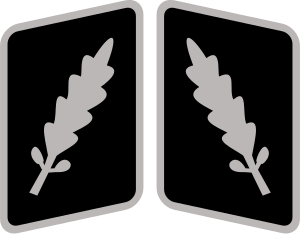 File:SS-Standartenführer Collar Rank.svg