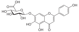 7-(beta-D-Glucopyranuronosyloxy)-5,6-dihydroxy-2-(4-hydroxyphenyl)-4H-1-benzopyran-4-one