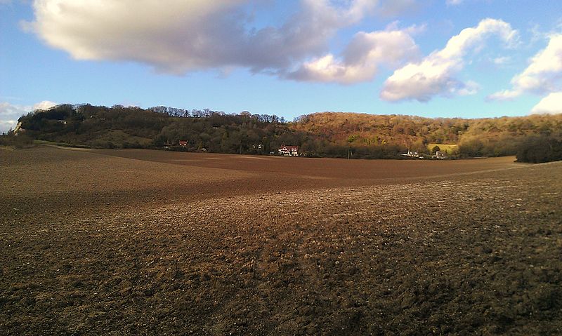 File:Smythe's Megalith field.jpg