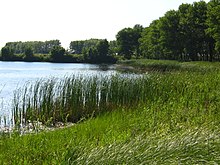 Solonka river.jpg