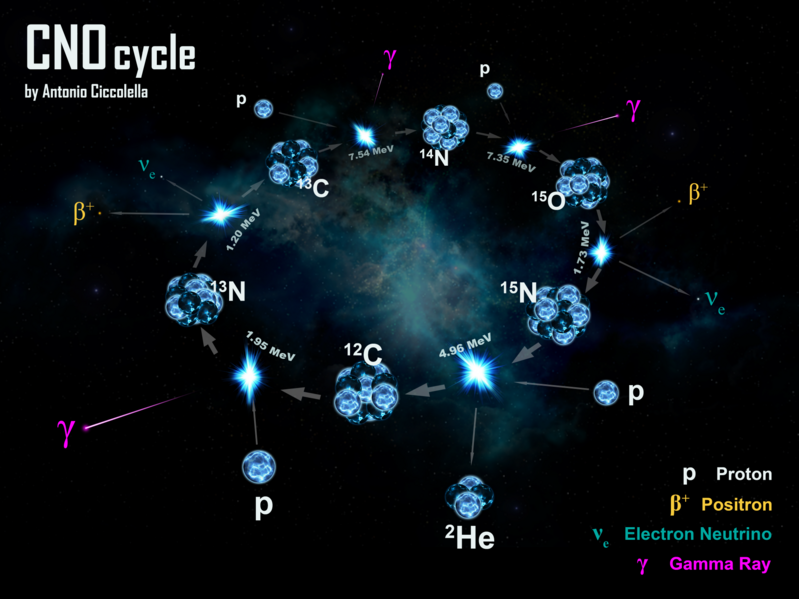 File:CNO cycle.png