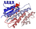 Human carbonyl reductase 1 bound to NADPH