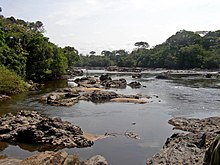 Epulu Okapi Reserve.jpg