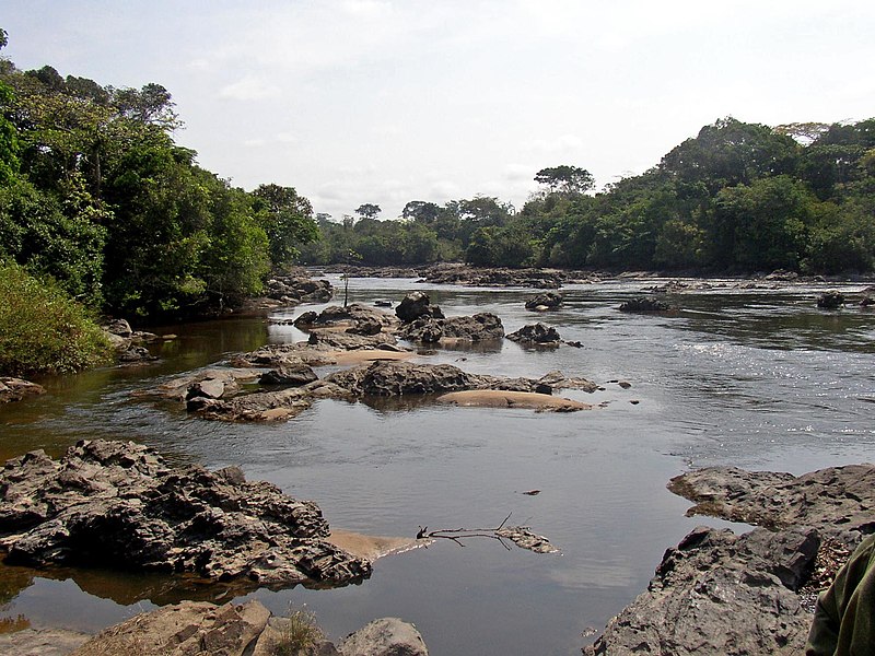 File:Epulu Okapi Reserve.jpg