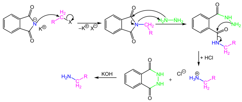 File:Gabriel synthesis mechanism.png