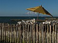 View from the northern beach.