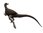 Morrosaurus antarcticus