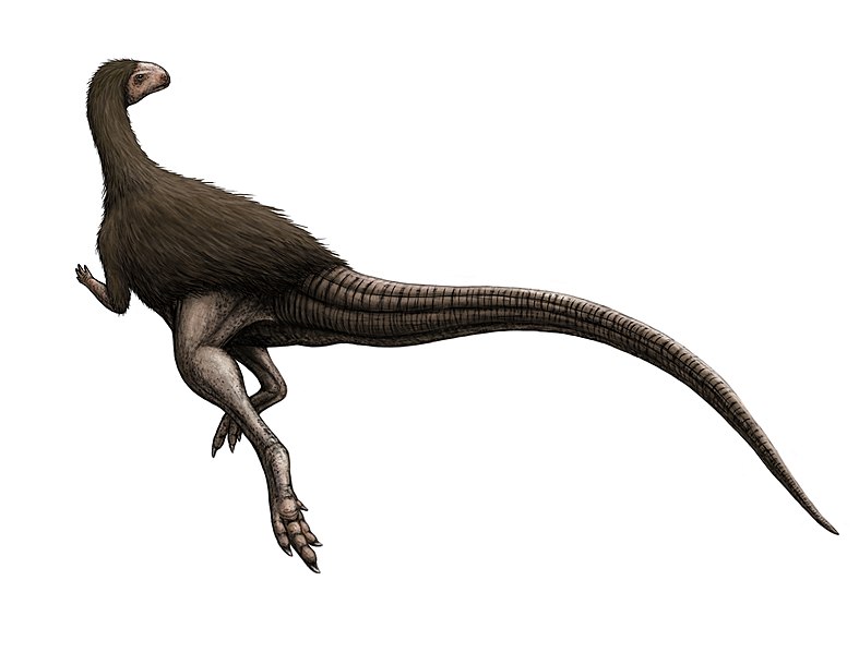 Archivo:Morrosaurus.jpg