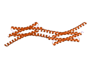 2osz: Structure of Nup58/45 suggests flexible nuclear pore diameter by intermolecular sliding