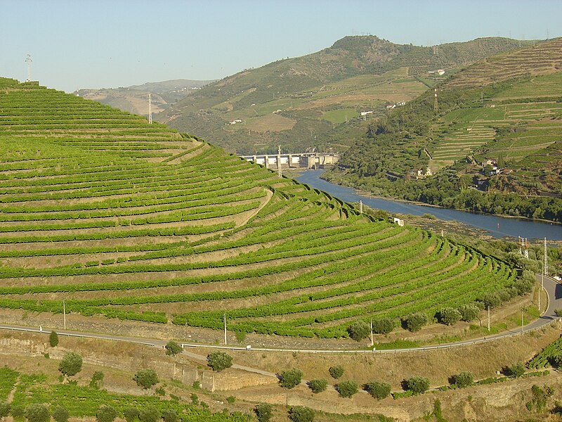 File:Régua Douro 4.JPG