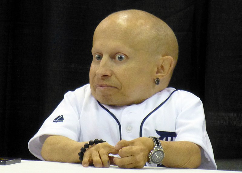 Файл:Verne Troyer 01 (9514707492).jpg