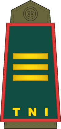 File:15-TNI Army-CPT.svg