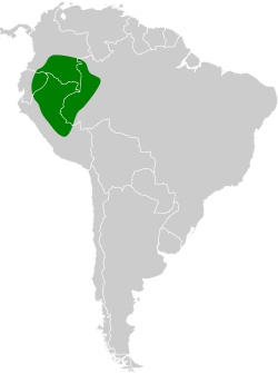 Distribución geográfica del hormiguero hombroblanco.