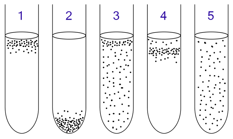 File:Anaerobic.png