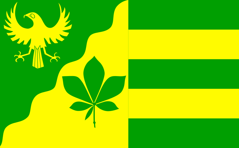 File:Flagge Dingen.svg