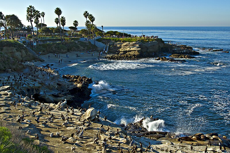 File:La Jolla Cove view.jpg