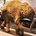 Lyuba (mammoth calf)