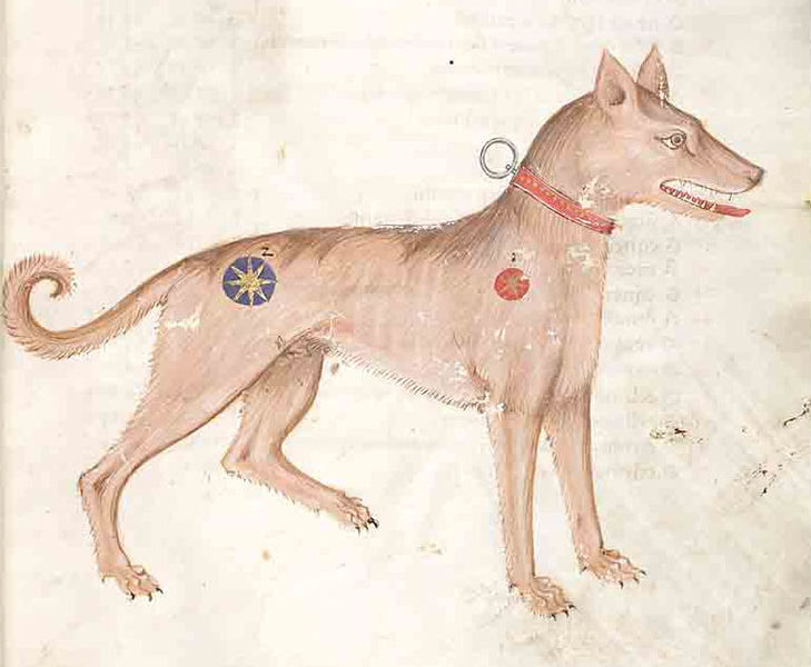 Archivo:Medieval dog.jpg