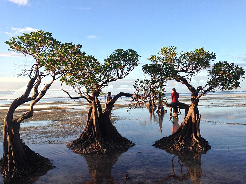 File:Padadita Beach, Waingapu 18.jpg