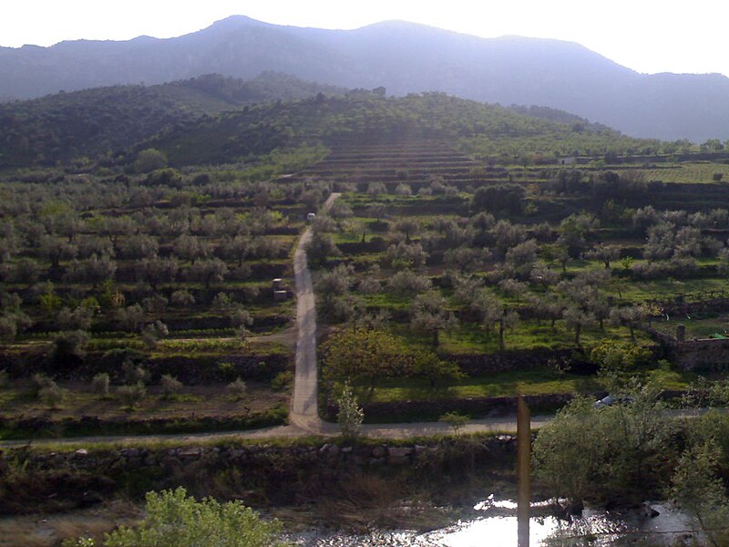 Archivo:Priorat hillside.jpg