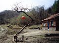 黑龍江山區老山村