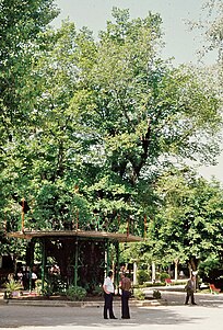 Árbol de la Música con templete en la Alameda de Cervantes de Soria a finales de los años 70 del siglo XX.