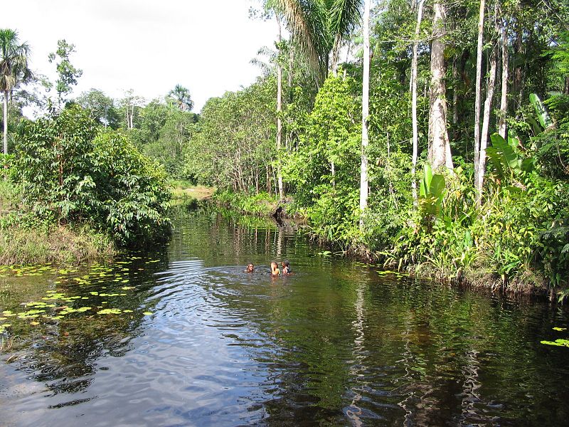 File:Suriname Colakreek.jpg