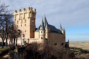 A castle high on a rocky peninsular above a plain. It is dominated by a tall rectangular tower rising above a main building with steep slate roof. The walls are pink, and covered with a sculptural pattern. There is a variety of turrets and details.