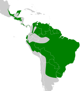 Distribución geográfica del vireón cejirrufo.