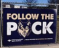 Follow The Pack