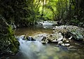 Lazar's Canyon River