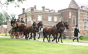 Roof seat break (Belgium, 2007)